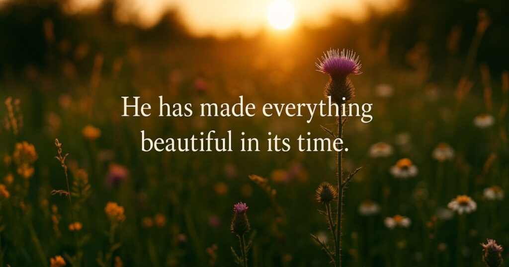 He has made everything beautiful in its time