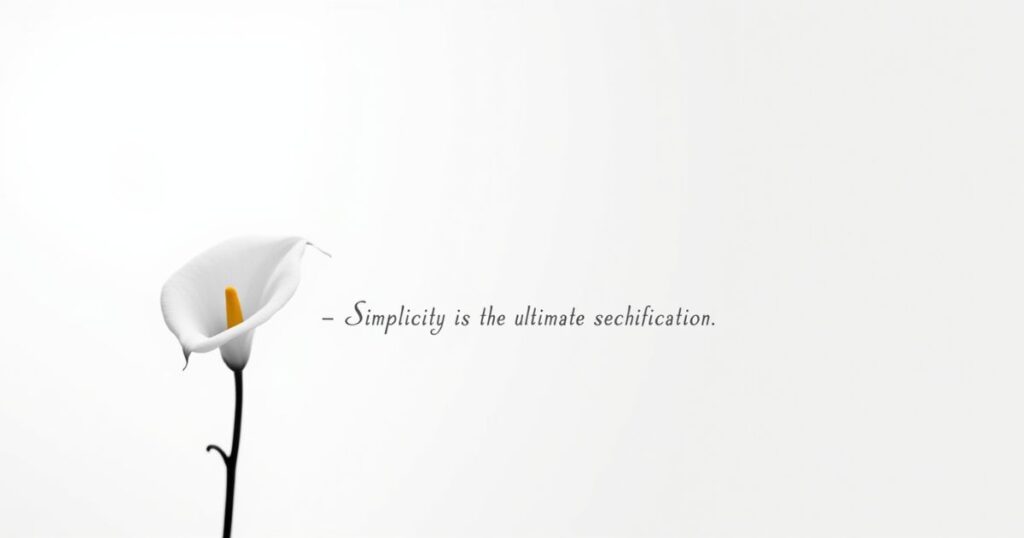 Simplicity is the ultimate sophistication